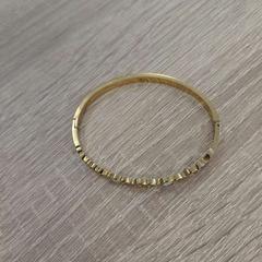 Pulsera Goudkleurig, ha sido reportado por EBS OV Poeldijk con iLost