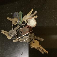 Sleutelbos, como reportado ao iLost