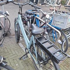 Fiets dames elektrisch merk Avalon, ha sido reportado a iLost