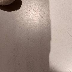 Peluche, come riportato da De Efteling utilizzando iLost