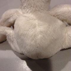 Knuffel, zoals gemeld door De Efteling met iLost