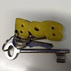 Klíč, jak nahlášeno St. Antonius Ziekenhuis Nieuwegein pomocí iLost