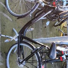 Dámsky bicykel Montego, ako bolo nahlásené Stadswerk072 pomocou iLost