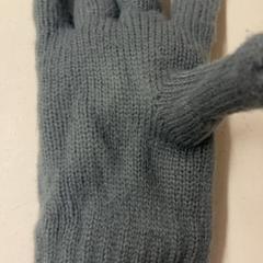 장갑, iLost를 사용하여 Het Amsterdamse Winterparadijs에 보고됨