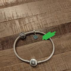 Pandora armband, ha sido reportado a iLost