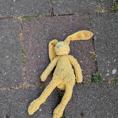 Knuffel, ako bolo nahlásené iLost