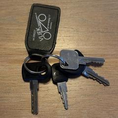 Sleutelbos, iLost에 보고됨