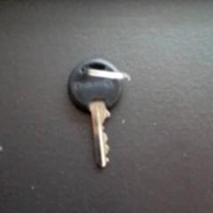 Chiave Zwart, come riportato da Apenheul utilizzando iLost