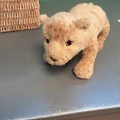 Knuffel, gemeldet von Diergaarde Blijdorp über iLost