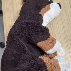 Przytulanka, zgłoszono przez IKEA Hengelo przy użyciu iLost