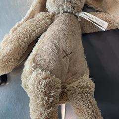 Teddybjørn Konijn, som rapportert av Burgers' Zoo ved bruk av iLost