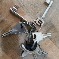 Sleutelbos, ako bolo nahlásené iLost