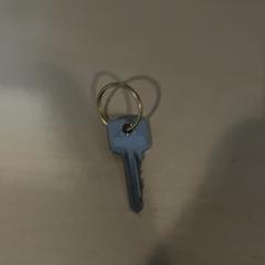 열쇠, iLost를 사용하여 Jaarbeurs에 보고됨