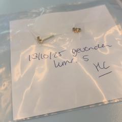 Gouden oorsteker oorbel, come riportato da UMC Utrecht utilizzando iLost