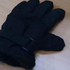 Luvas, segundo informou Het Spoorwegmuseum usando iLost