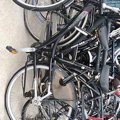 Dámsky bicykel batavus, ako bolo nahlásené Stadswerk072 pomocou iLost