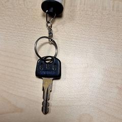 Key Zwart, as reported by Gemeente Roermond using iLost
