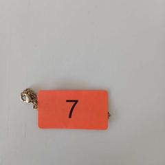 Juwel Goud - armband, gemeldet von Werchter Boutique über iLost