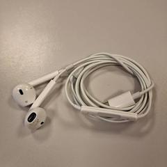 Auricular, segons ha informat Vrije Universiteit Amsterdam mitjançant iLost
