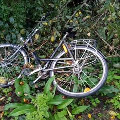 Fiets gazelle, como reportado ao iLost