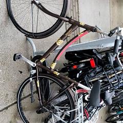 Dámské kolo cortina, jak nahlášeno Stadswerk072 pomocí iLost