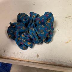 Banda per al cap Blauw, segons ha informat Artis mitjançant iLost