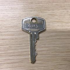 Sleutel, segons ha informat Gemeente Arnhem mitjançant iLost