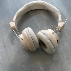 Headphones, as reported by Arriva Achterhoek-Rivierenland using iLost