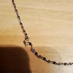 팔찌, iLost를 사용하여 Beekse Bergen Resorts en Hotel에 보고됨