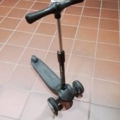 Roller Zwart, gemeldet von Apenheul über iLost
