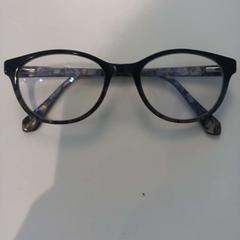 Okuliare Zwart, ako bolo nahlásené Arriva Limburg Zuid pomocou iLost