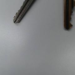 Porte-clés, a été signalé par Walibi Holland utilisant iLost