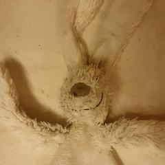 Ölelős pofon Wit, amint azt DierenPark Amersfoort az iLost segítségével jelentette.