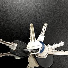 Schlüssel Zilver, gemeldet von Arriva Vechtdallijnen über iLost