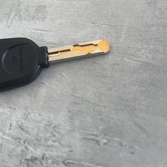 열쇠, iLost를 사용하여 Arriva Achterhoek-Rivierenland에 보고됨