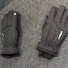Gloves, as reported by SnowWorld Landgraaf using iLost