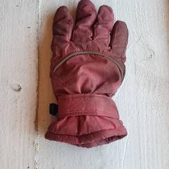 Rukavice Roze, jak nahlášeno DierenPark Amersfoort pomocí iLost