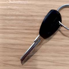 İLost kullanarak Gemeente Nijkerk tarafından bildirildiği gibi Anahtar