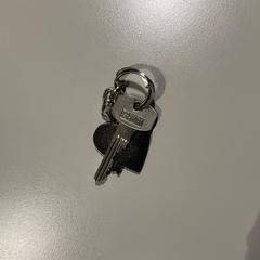 Nyckel, rapporterat av Pinkpop med iLost