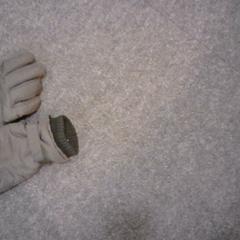 Gloves, as reported by SnowWorld Landgraaf using iLost