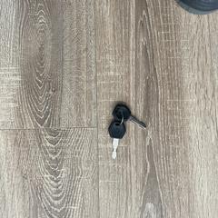 Key (brand: K logo) | serial number: K012, segundo informou a iLost
