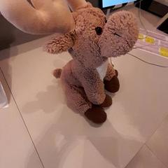Kuscheltier knuffel, gemeldet von Van der Valk Hotel Schiphol über iLost