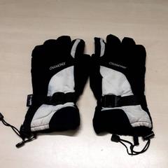 Hansker, som rapportert av Arriva Oost-Brabant ved bruk av iLost