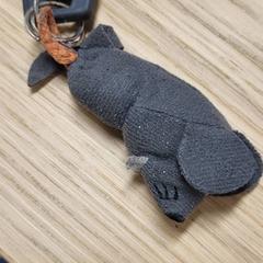 Klíč, jak nahlášeno IKEA Hengelo pomocí iLost