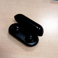 Hörlur Zwarte oordopjes, rapporterat av Arriva Vechtdallijnen med iLost