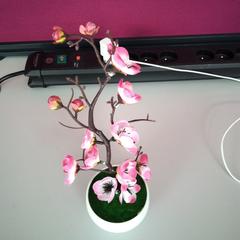 Décoration, jak nahlášeno Twisto pomocí iLost