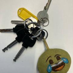 Llaves, ha sido reportado por Gemeente Rijswijk con iLost