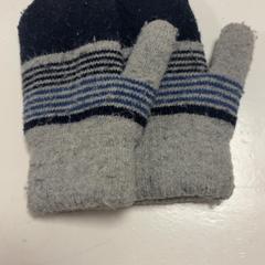 Rukavice & Rukavice Grijs Blauw, ako bolo nahlásené Koninklijk Theater Carré pomocou iLost