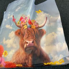 Bag, as reported by Breng Arnhem using iLost