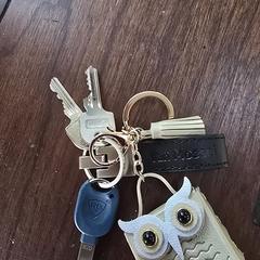 sleutelbos an iLost gemeldet